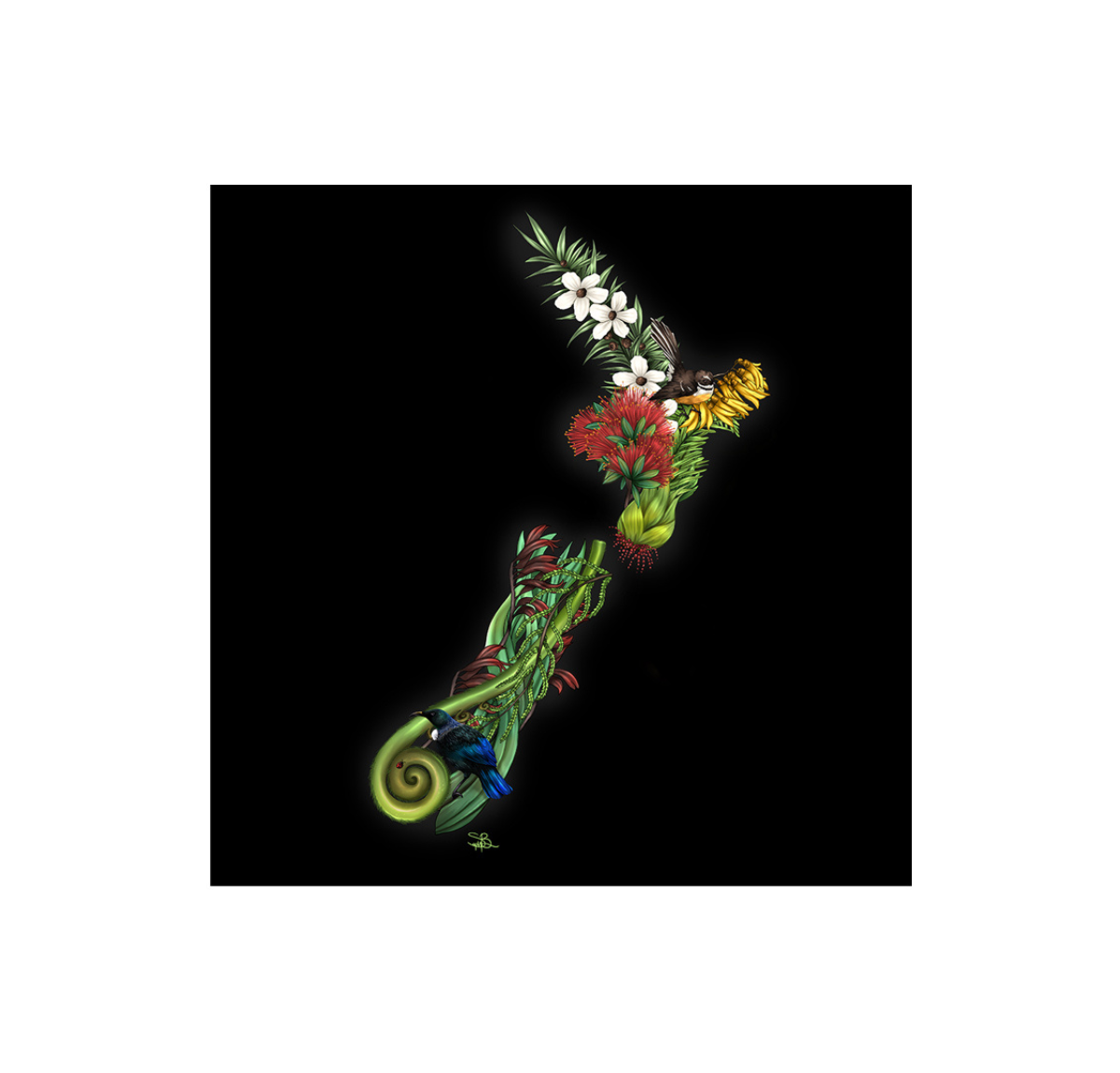 NZ Fauna LED Canvas Wall Art Print