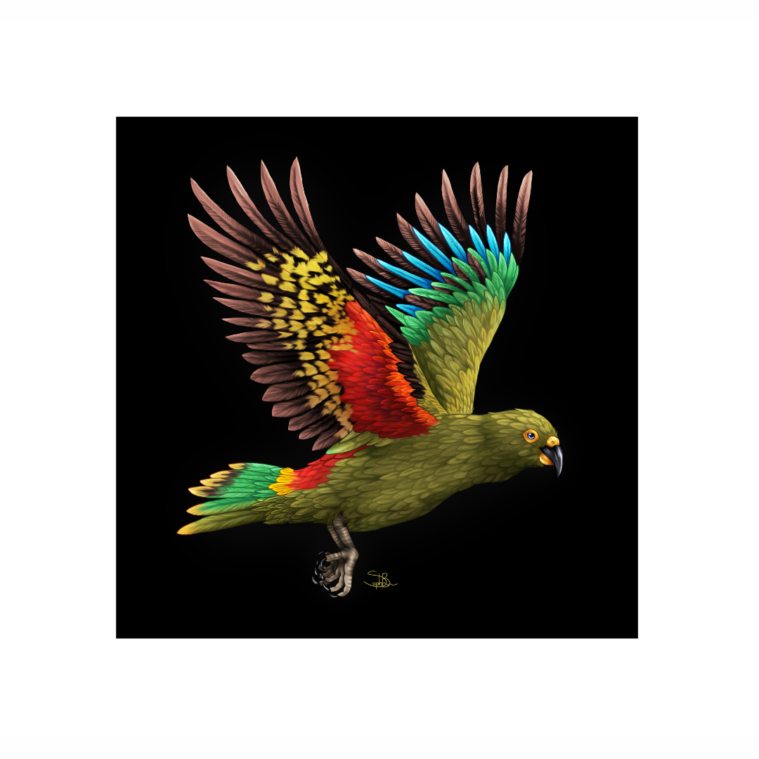Kea LED Canvas Wall Art Print