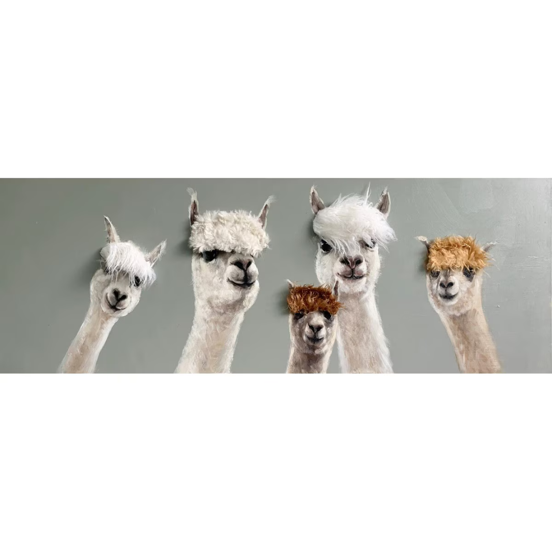 Five alpacas with various hairstyles on a gray background