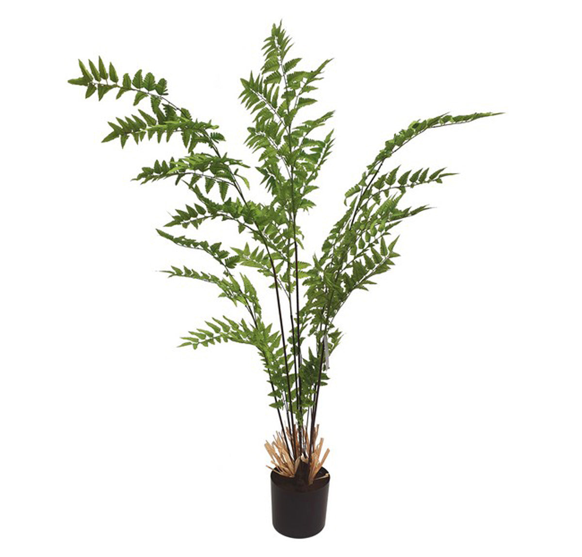 Artificial Maiden Fern In Black Pot - 1.2mtr tall | Home Decor
