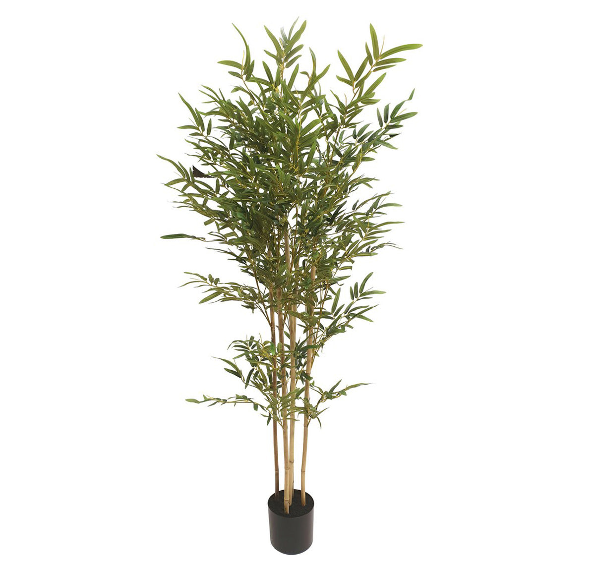 Artificial Bamboo Tree In Black Pot - 1.5mtr tall | Home Decor