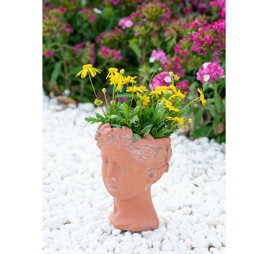 Visage Head / Face Planter I - Terracotta