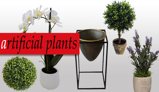 How To Decorate With Indoor Plants