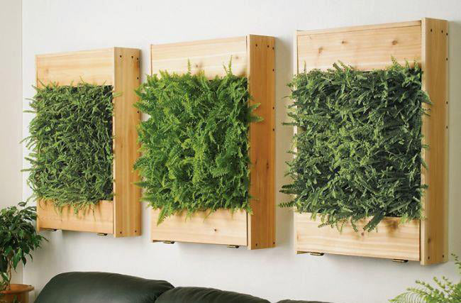 How To Create Your Vertical Green Garden