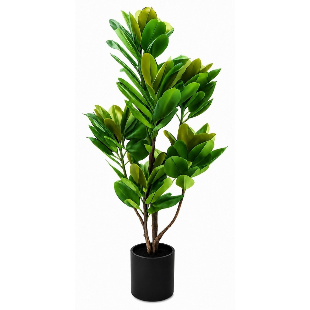 Real touch artificial rubber tree in matte black pot on white background