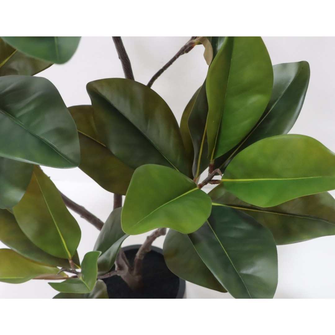 A close-up of a faux magnolia tree with glossy green leaves and brown branches, shown in a black pot against a white background.
Close-up of real touch magnolia glossy broad leaves
