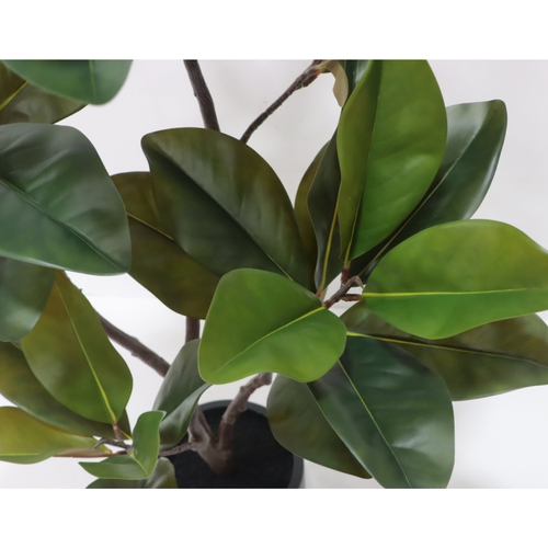 A close-up of a faux magnolia tree with glossy green leaves and brown branches, shown in a black pot against a white background.
Close-up of real touch magnolia glossy broad leaves