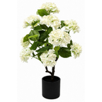 An artificial white hydrangea tree with green leaves in a black cylindrical pot, photographed against a plain white background.
Real touch artificial white hydrangea tree in matte black pot on white background