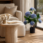 A potted hydrangea with blue-purple flowers and green leaves in a black pot, placed beside a beige armchair and round stone side table in a sunlit living room.
Real touch blue hydrangea tree in black pot styled beside an armchair by a window