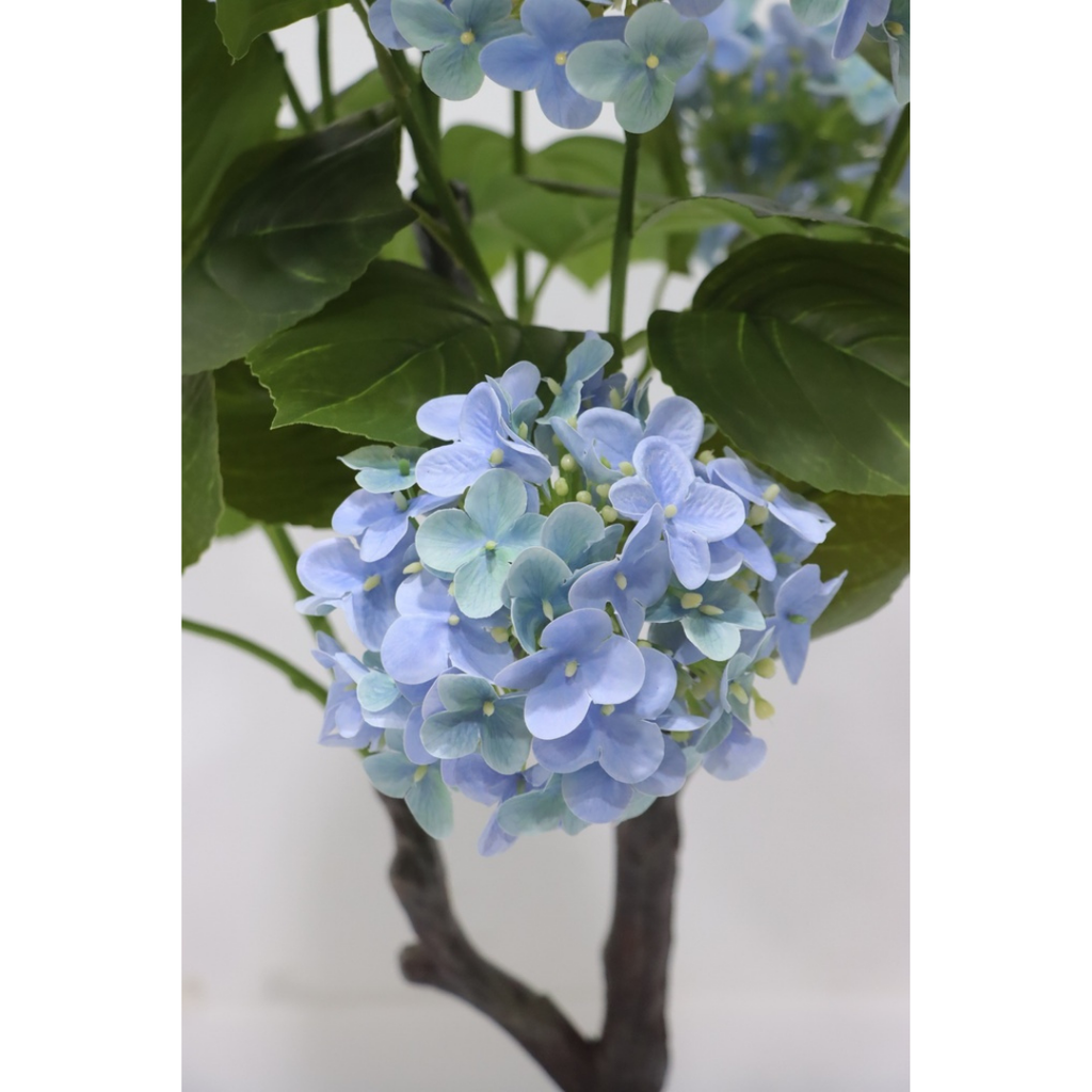 A close-up of a hydrangea branch with light blue flowers and green leaves, shown against a plain light background.