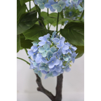 A close-up of a hydrangea branch with light blue flowers and green leaves, shown against a plain light background.