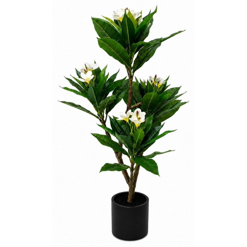 Real touch artificial frangipani tree in matte black pot on white background