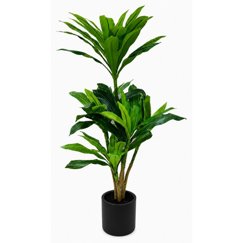 Real touch artificial dracaena tree in matte black pot on white background