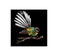 Fantail LED Canvas Wall Art Print