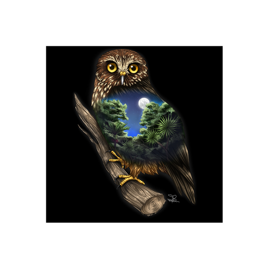 Morepork LED Canvas Wall Art Print