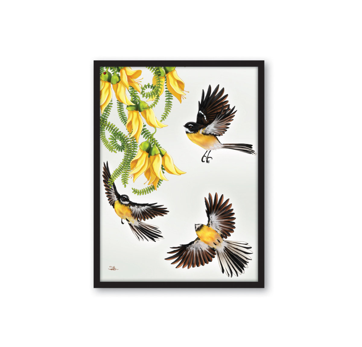 Fantail In Flight Framed Canvas Wall Art Print - Small
