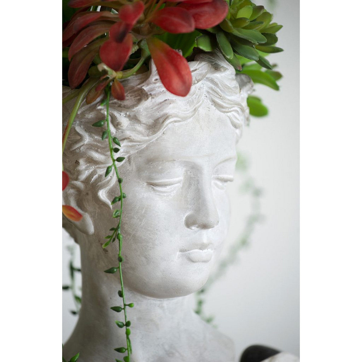 Large Visage planter styled with succulents and trailing string of pearls cascading like hair