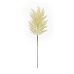 Single ivory cream faux pampas grass stem with full feathery plume head and long green wire stem, photographed on white background
