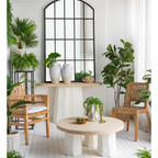 Two Aegean ceramic vases styled on a round timber pedestal dining table beneath a large arched black metal mirror, surrounded by fiddle leaf fig, monstera, palm and fern plants in a bright coastal boho room setting with rattan chairs