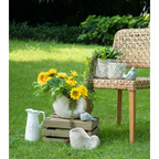 Large nautilus shell ceramic planter filled with sunflowers and trailing plants on a wooden crate in a garden setting, with a smaller shell planter on the grass, bird figurines, rattan chair and botanical embossed planter in the background