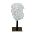 The Regal Face Statue - resin