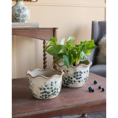 Blueberry ceramic planters styled with a potted plant on a wooden coffee table