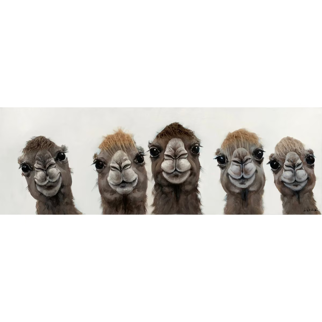 Five cartoonish Lama faces arranged in a row on a white background