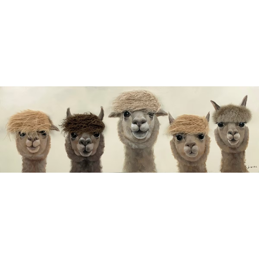 Five alpacas with unique hairstyles on a plain background