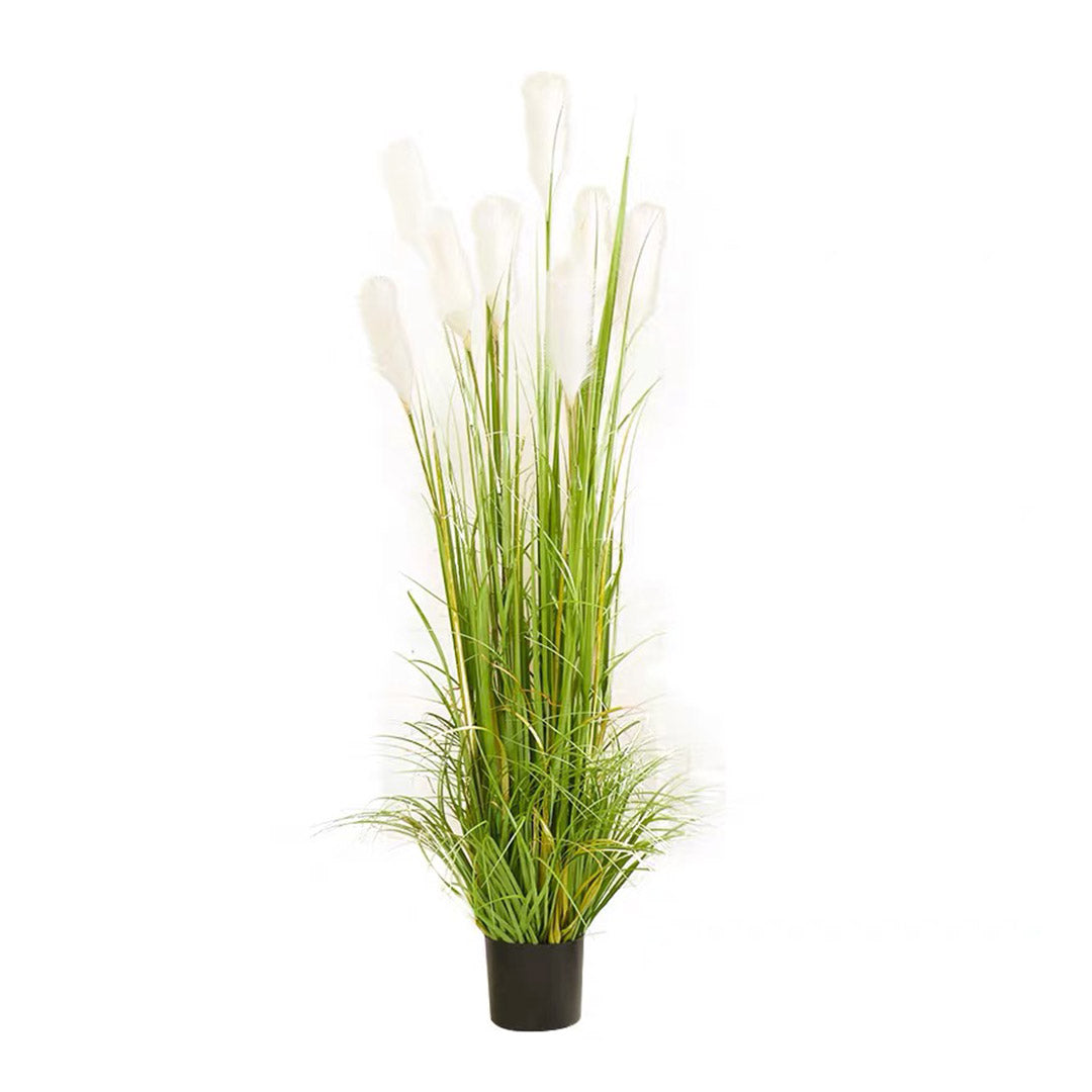 Artificial Reed Grass Tree Plant in Black Pot - 150cm tall