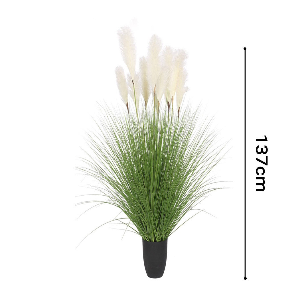 Artificial Bulrush Grass Tree Plant in Black Pot - 1.37mtr tall