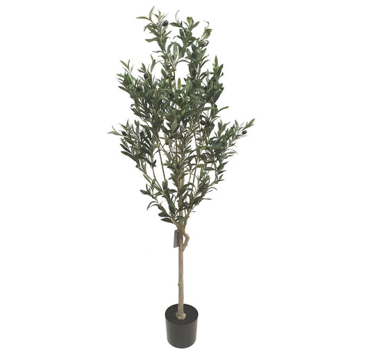 Artificial Olive Tree In Black Pot - 1.5mtr tall | Artificial Plants | Home Decor