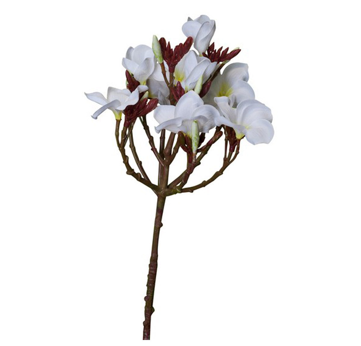 Artificial White Plumeria Spray (Frangipani) Flower | Artificial Flowers | Home Decor | mishLifestyle