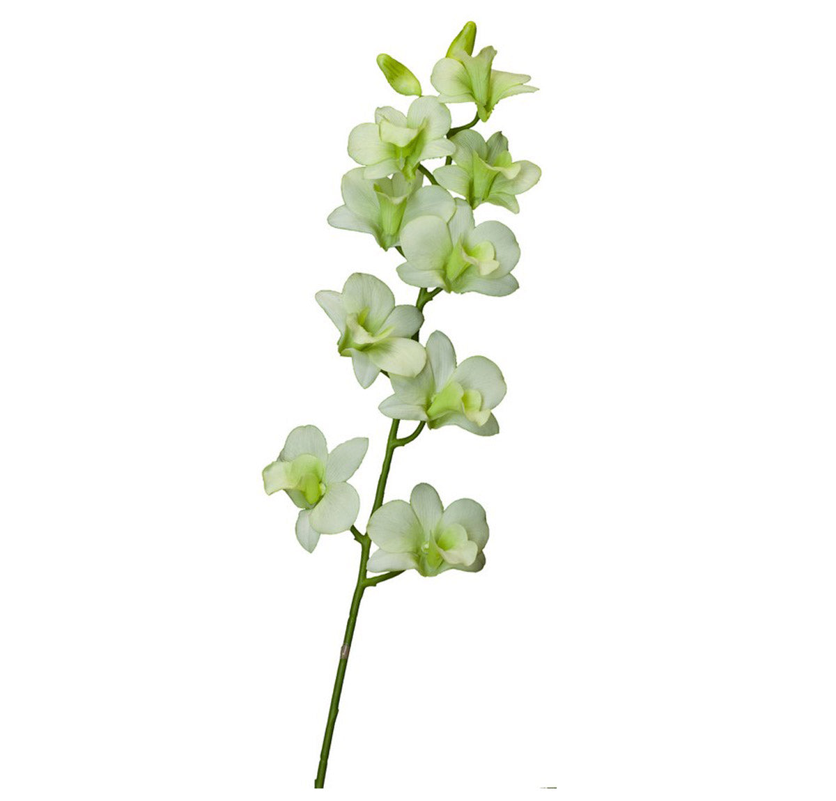 Artificial Light Green Dendrobium Spray (Orchid) Flower | Artificial Flora | Home Decor | mishLifestyle