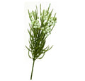 Artificial Green/Cream  Achillea Spray (Milfoil) Flower - Set of 4 | Home Decor | mishLifestyle