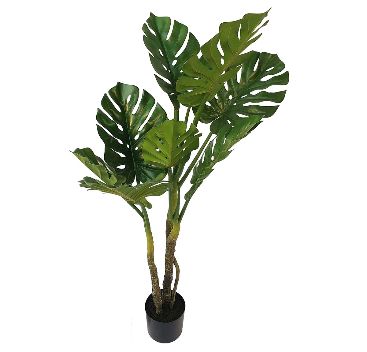 Artificial Monstera Plant In Black Pot - 1.4mtr tall | Home Decor