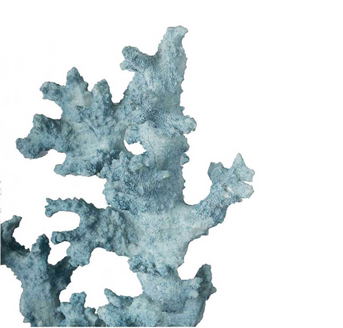 Faux Delicate Coral Accent - Blue