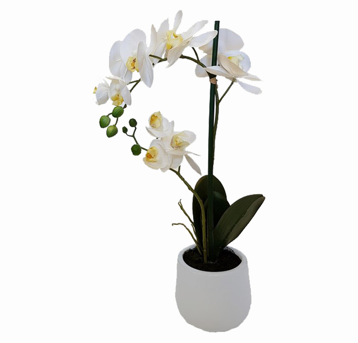 Artificial Real Touch White Orchid In White Pot | Plants & Flowers | mishLifestyle