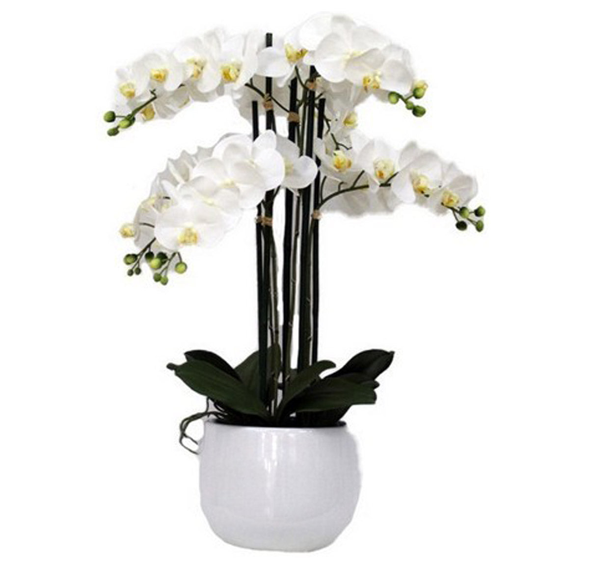 Artificial Real Touch White Orchid In White Pot | Plants & Flowers | mishLifestyle