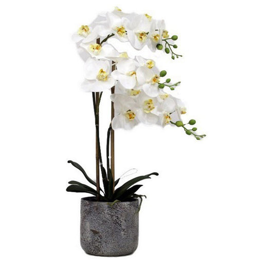 Artificial Real Touch White Orchid In Stone Pot | Plants & Flowers | mishLifestyle
