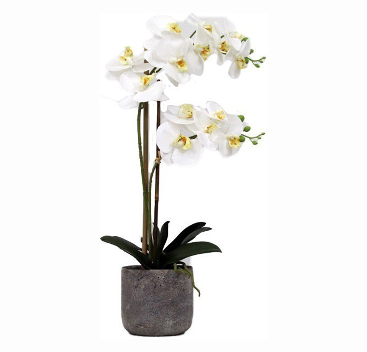 Artificial Real Touch White Orchid In Stone Pot | Plants & Flowers | mishLifestyle