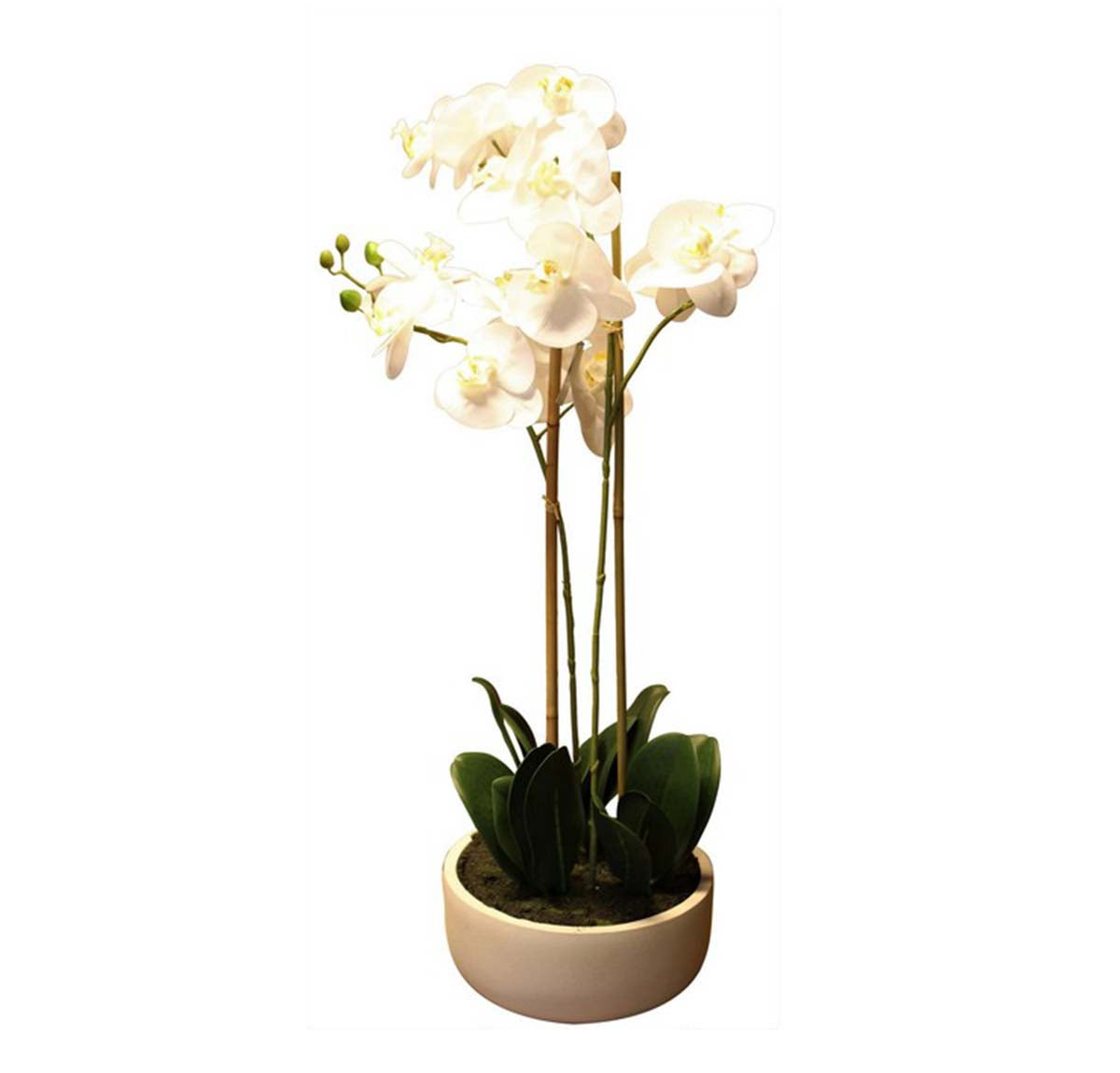 Artificial Real Touch Orchid With Caesarstone Pot - 2 spray | Home Decor