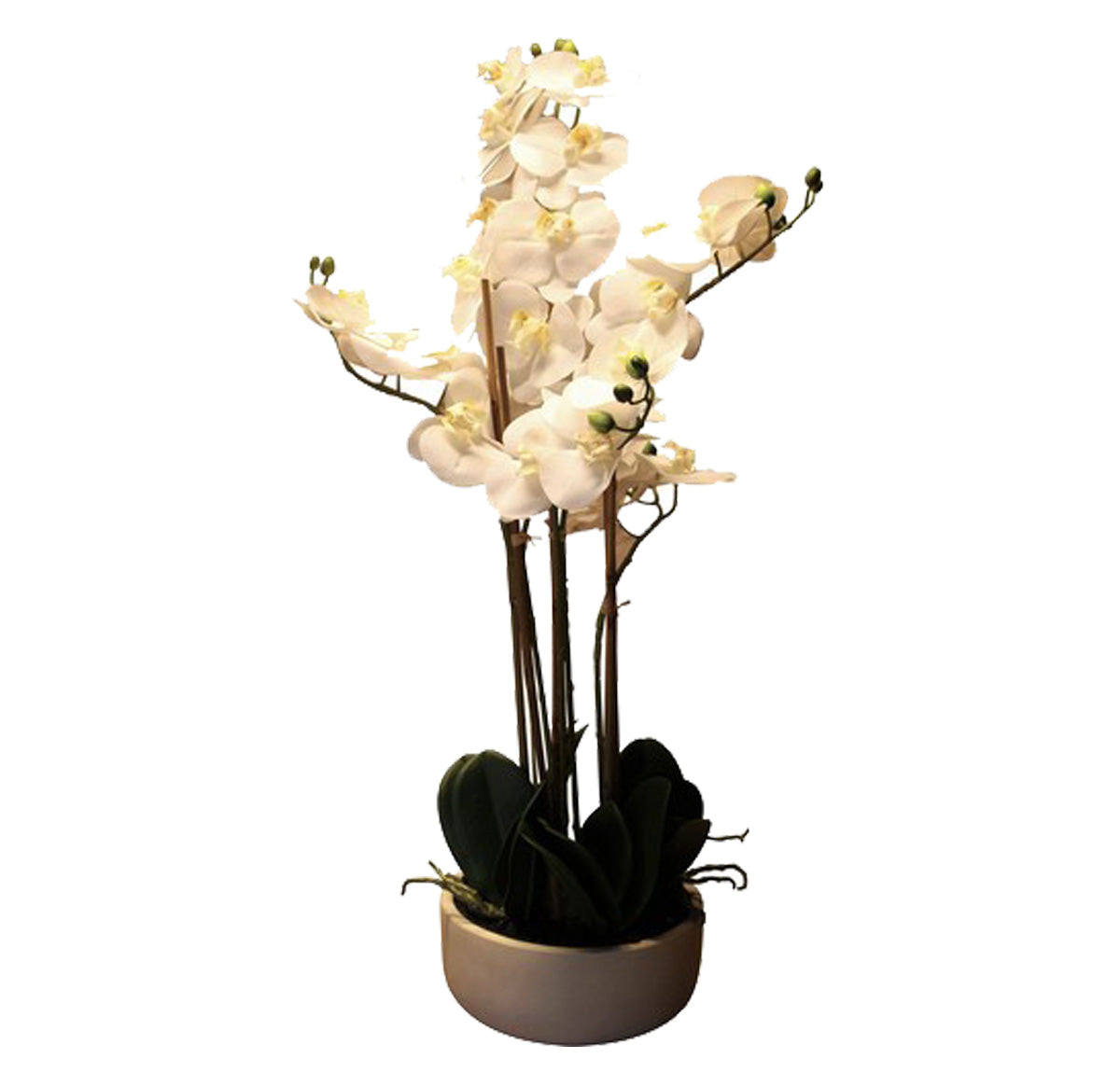 Artificial Real Touch White Orchid In Caesarstone Pot | Plants & Flowers
