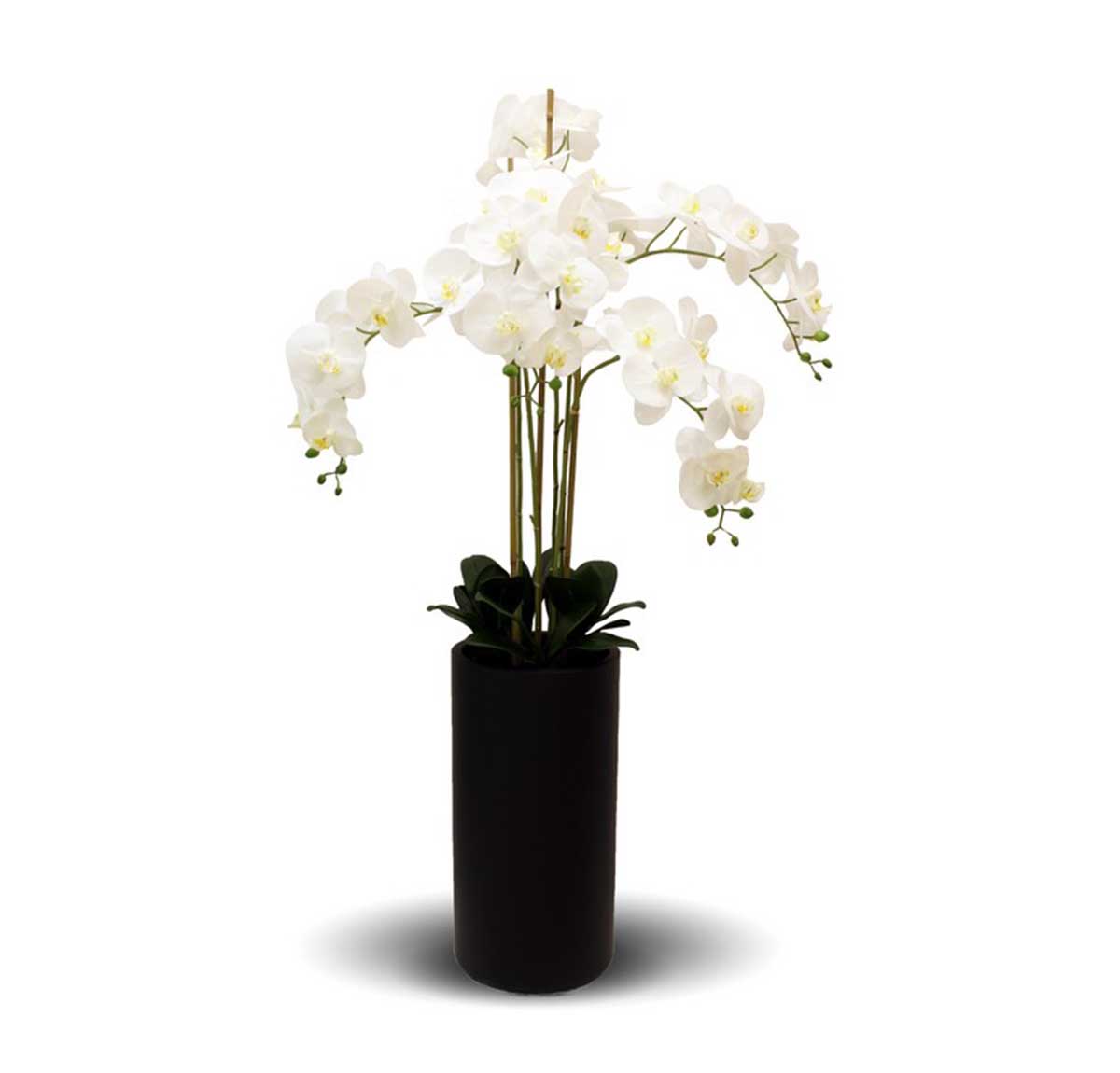 Artificial Real Touch White Orchid With Tall Black Pot - 5 spray - 1.3m