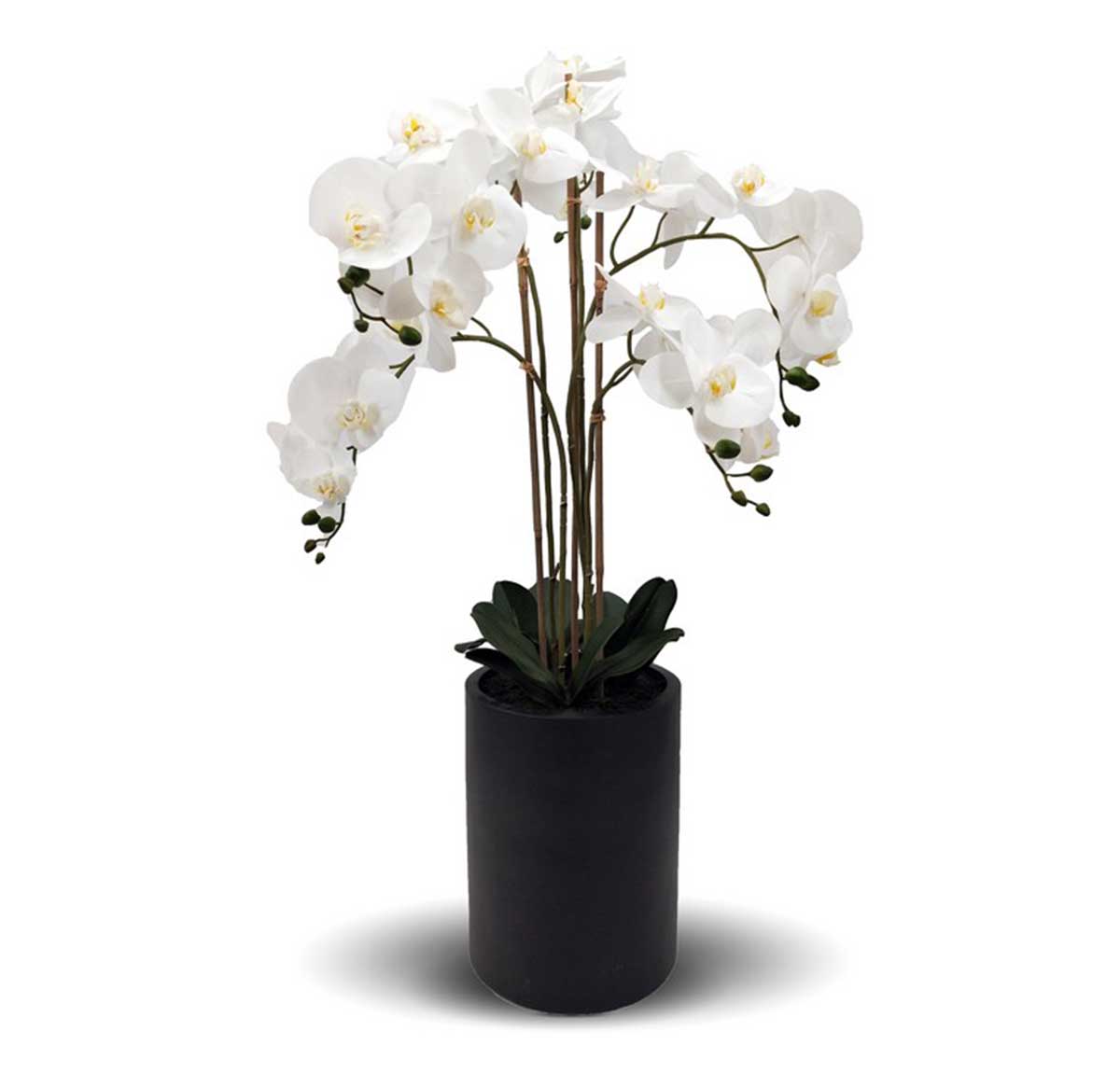 Artificial Real Touch White Orchid With Tall Black Pot - 5 spray