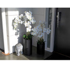 Artificial Real Touch White Orchid With Tall Black Pot - 5 spray